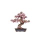 PUZZLE 3D SAKURA BONSAI
