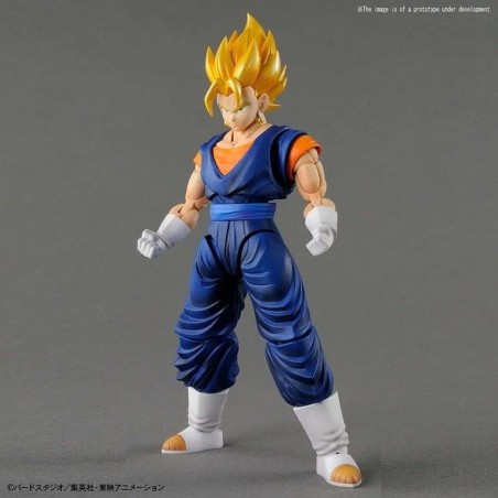 FIGURE-RISE STANDARD SUPER SAIYAN VEGETTO PKG RENE