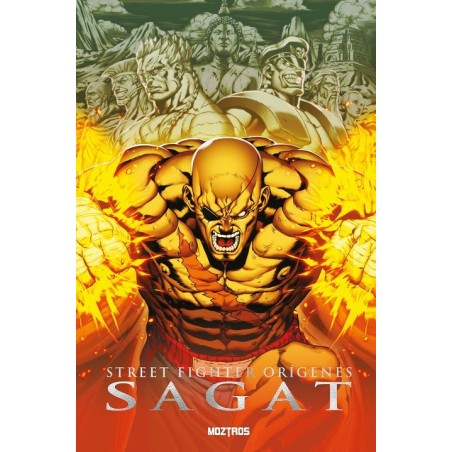STREET FIGHTER ORIGENES SAGAT