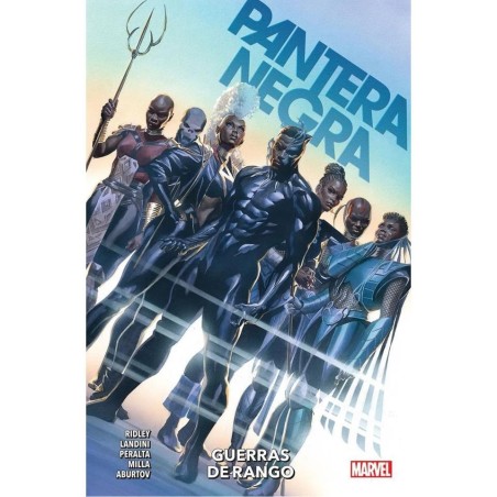PANTERA NEGRA 002 GUERRAS DE RANGO